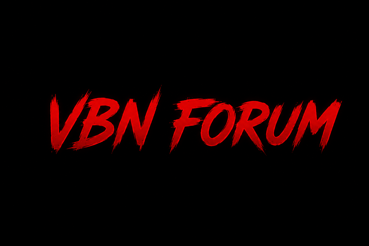 VBN FORUM logo